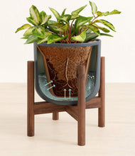 Load image into Gallery viewer, Iron Gray stand:walnut