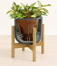 Load image into Gallery viewer, Iron Gray stand:bamboo