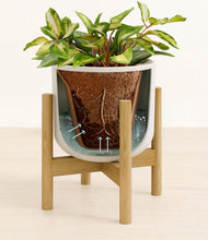 Load image into Gallery viewer, Natural Bamboo stand:bamboo