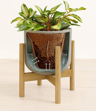 Load image into Gallery viewer, Sage Green stand:bamboo