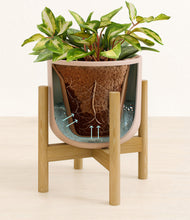 Load image into Gallery viewer, Sandy Pink stand:bamboo