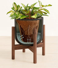 Load image into Gallery viewer, Stone Black stand:walnut