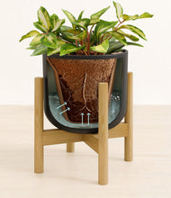 Load image into Gallery viewer, Stone Black stand:bamboo