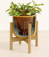 Load image into Gallery viewer, Sunset Orange stand:bamboo