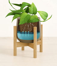 Load image into Gallery viewer, stand:bamboo