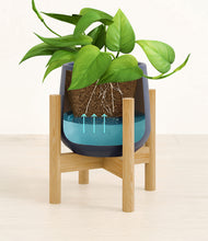 Load image into Gallery viewer, Deep Navy stand:bamboo