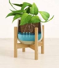 Load image into Gallery viewer, Turquoise stand:bamboo