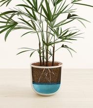 Load image into Gallery viewer, Natural Bamboo