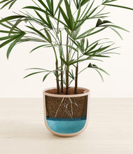 Load image into Gallery viewer, Sandy Pink