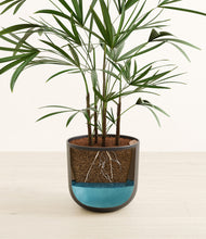 Load image into Gallery viewer, Stone Black