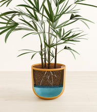 Load image into Gallery viewer, Sunset Orange