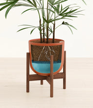 Load image into Gallery viewer, Earth Red stand:walnut