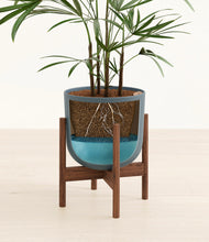 Load image into Gallery viewer, Iron Gray stand:walnut