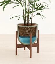 Load image into Gallery viewer, Sage Green stand:walnut