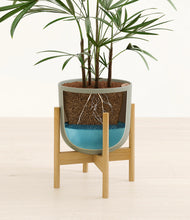 Load image into Gallery viewer, Sage Green stand:bamboo