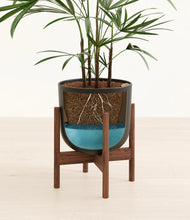 Load image into Gallery viewer, Stone Black stand:walnut