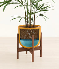 Load image into Gallery viewer, Sunset Orange stand:walnut