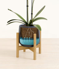 Load image into Gallery viewer, Deep Navy stand:bamboo