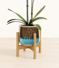 Load image into Gallery viewer, Eternal Gray stand:bamboo