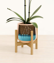Load image into Gallery viewer, Gentle Pink stand:bamboo