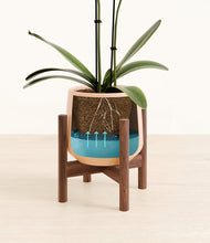 Load image into Gallery viewer, Gentle Pink stand:walnut