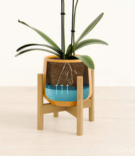 Load image into Gallery viewer, Mustard stand:bamboo