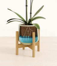 Load image into Gallery viewer, Turquoise stand:bamboo