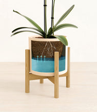 Load image into Gallery viewer, Cream stand:bamboo