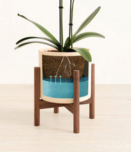 Load image into Gallery viewer, Cream stand:walnut