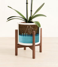 Load image into Gallery viewer, White stand:walnut