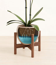 Load image into Gallery viewer, Desert Brown stand:walnut