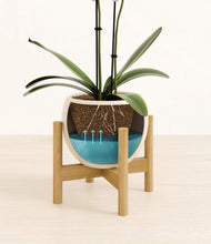 Load image into Gallery viewer, Shiny EggWhite stand:bamboo