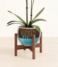 Load image into Gallery viewer, Deep Ocean stand:walnut