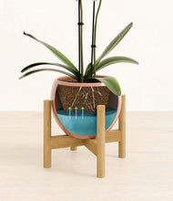 Load image into Gallery viewer, Calm Rose stand:bamboo