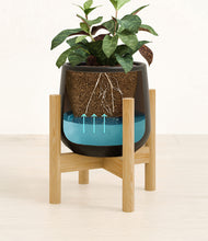 Load image into Gallery viewer, Black stand:bamboo