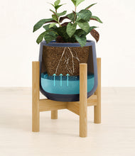 Load image into Gallery viewer, Deep Navy stand:bamboo