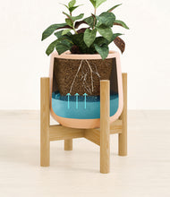 Load image into Gallery viewer, Gentle Pink stand:bamboo