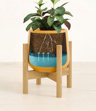 Load image into Gallery viewer, Mustard stand:bamboo