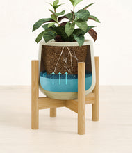 Load image into Gallery viewer, Turquoise stand:bamboo