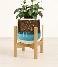 Load image into Gallery viewer, White stand:bamboo