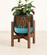 Load image into Gallery viewer, Black stand:walnut