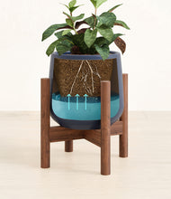 Load image into Gallery viewer, Deep Navy stand:walnut