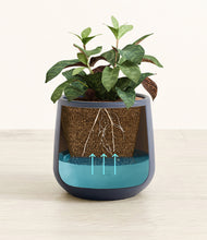 Load image into Gallery viewer, Deep Navy