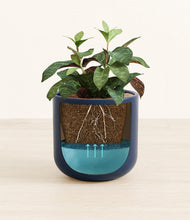 Load image into Gallery viewer, Twilight Blue