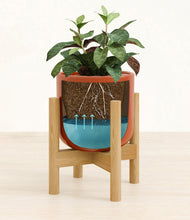 Load image into Gallery viewer, Glossy Red stand:bamboo