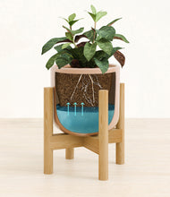 Load image into Gallery viewer, Glossy Pink stand:bamboo