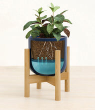 Load image into Gallery viewer, Twilight Blue stand:bamboo