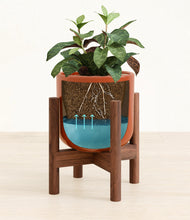 Load image into Gallery viewer, Glossy Red stand:walnut