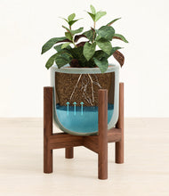 Load image into Gallery viewer, Misty Blue stand:walnut