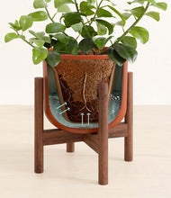 Load image into Gallery viewer, Earth Red stand:walnut